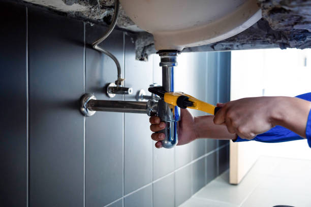 East Grand Rapids, MI Plumbing Services Company